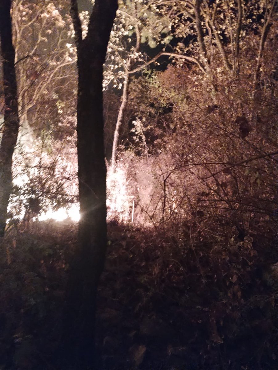 ReporteForestal's tweet photo. #Actualización 

Continúa la atención de #IncendioForestal en el paraje El Colli #Zapopan dentro de la #ANP Bosque La Primavera.

Combaten 44 bomberas y bomberos forestales de @SemadetJal, @PCJalisco, @CONAFOR y @BosquePrimavera. https://t.co/latYsoQrWi