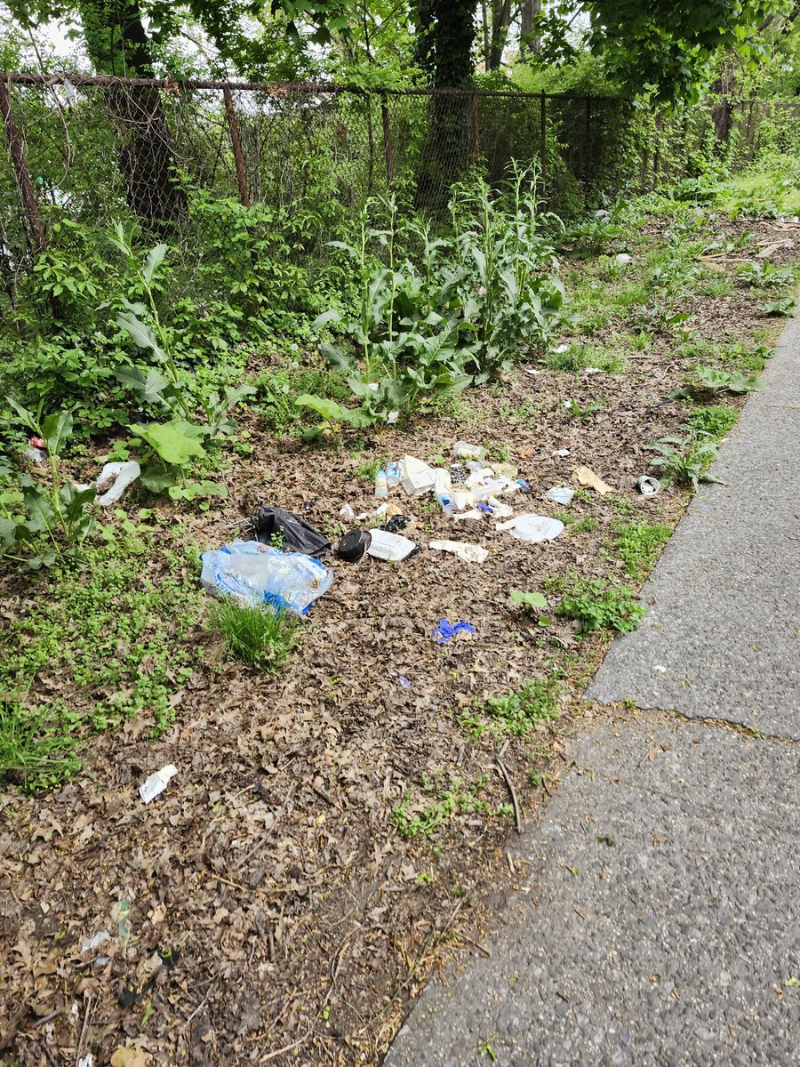 @NYCSanitation look at how DISGUSTING our greenspace is. Bailey Avenue 10463 between 234 and 238st.