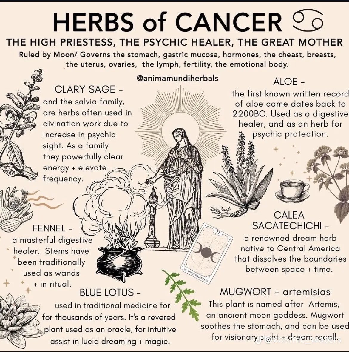 #Herbs for the #Zodiac signs ❤️