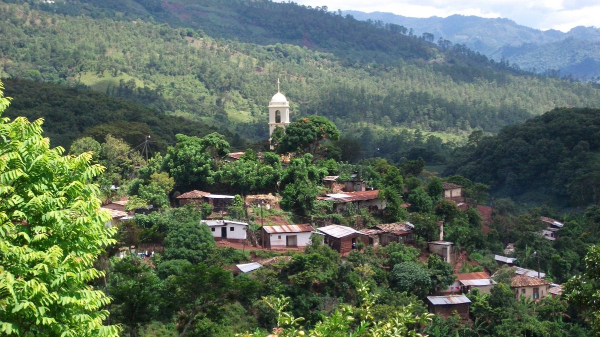 In a large randomized controlled field trial in 24,702 people in 176 isolated villages in Honduras, published in @ScienceMagazine on May 3, 2024, we showed how social contagion can be used to improve human welfare. science.org/doi/10.1126/sc… #HNL @eairoldi
