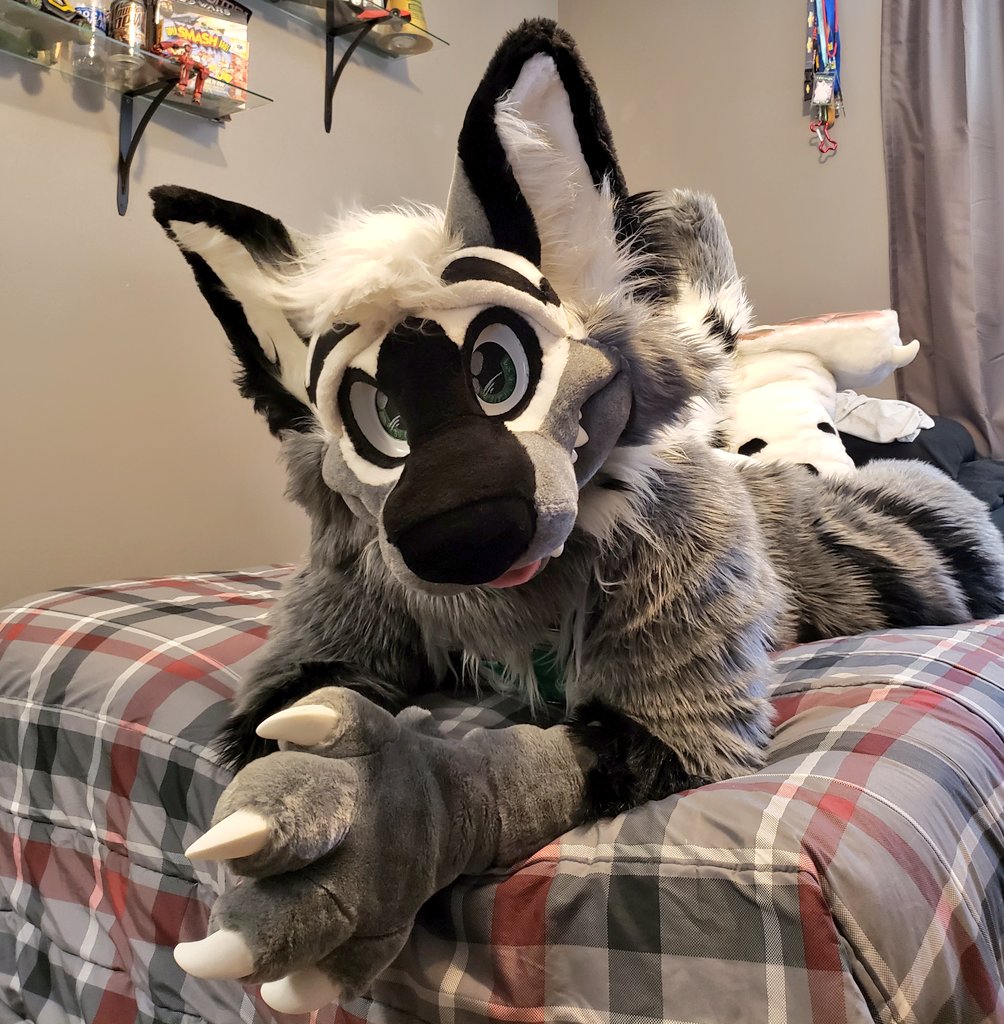 Ahhh, yay it's #FursuitFriday. After this week of week of hell, who wants to cuddle with this worn out wolf-doggo?