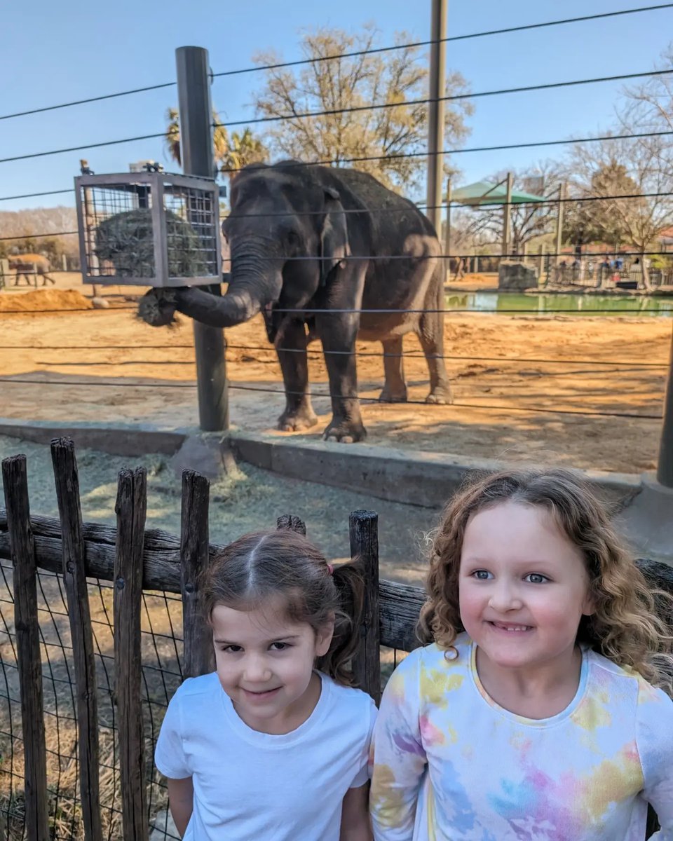 Nothing like treating yourself to a Zoo trip after a long week! ✨ See our elephant herd this weekend, catch a Meet the Keeper Chat, and so much more! Adventure awaits this weekend, secure your tickets here: bit.ly/46dYWit 📸: Melanie G.