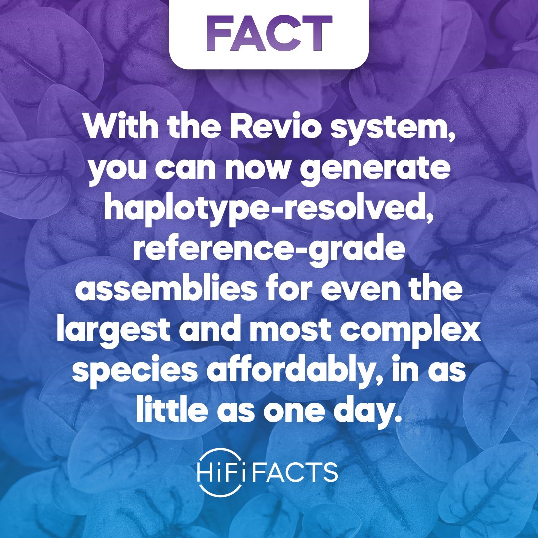 With the Revio system, you can achieve 30X coverage of 12 GB genomes per run with flexible multiplexing options, allowing you to save even more than you thought.​ Read about other debunked HiFi myths in plant and animal genomics research: bit.ly/44mkoRL #HiFiFacts