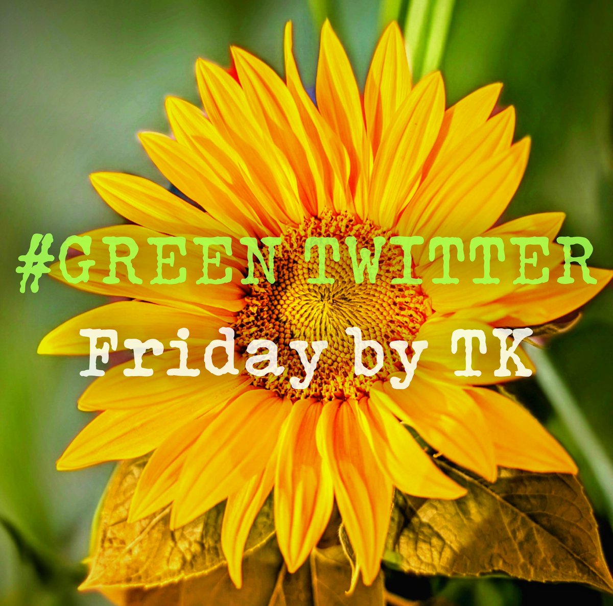 It's #GreenTwitter Friday with @TurboKitty . Click the hashtag to follow loads of great people. #solidarity