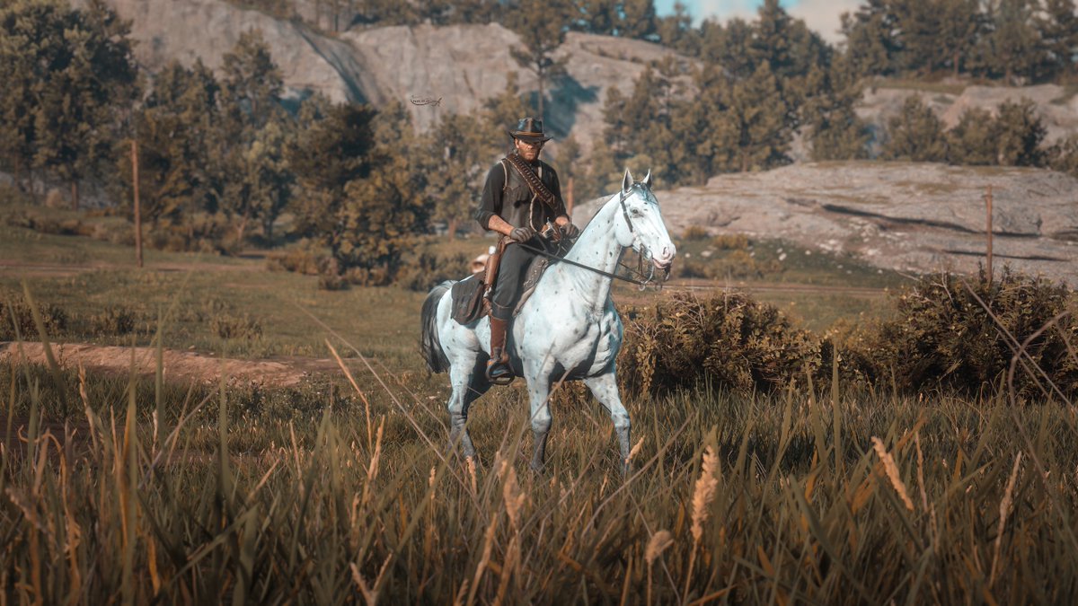 Red dead redemption II 🍁 
#pcgaming #VPGamers #RDR2 #VGPUnite #FutureVPSupport