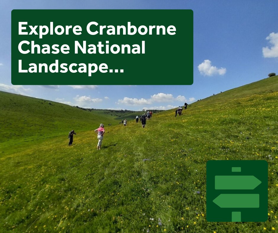 Looking for inspiration of places to explore this #BankHoliday weekend? 🍃🍃 Our website is packed with ideas for places to #walk #cycle #discover in #CranborneChaseNationalLandscape Find out more ow.ly/8BXp50RuGAa