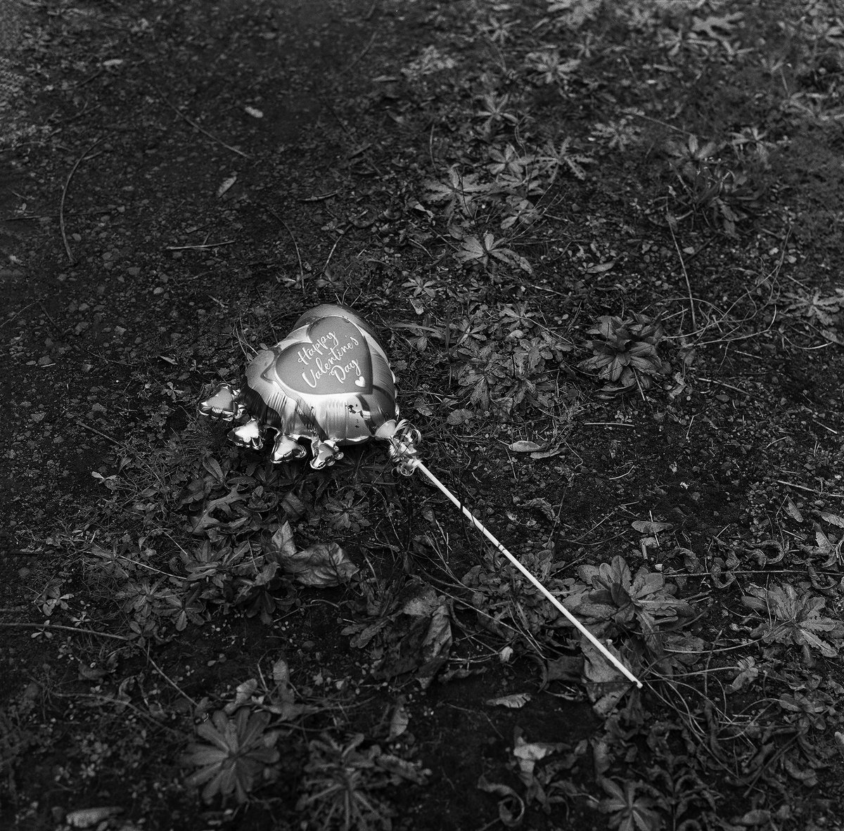 AD_Murgatroyd's tweet image. Nostalgia ⏳

Shot on @ILFORDPhoto Hp5 120 film. 

#120film #analogcommunity #bnwphotography