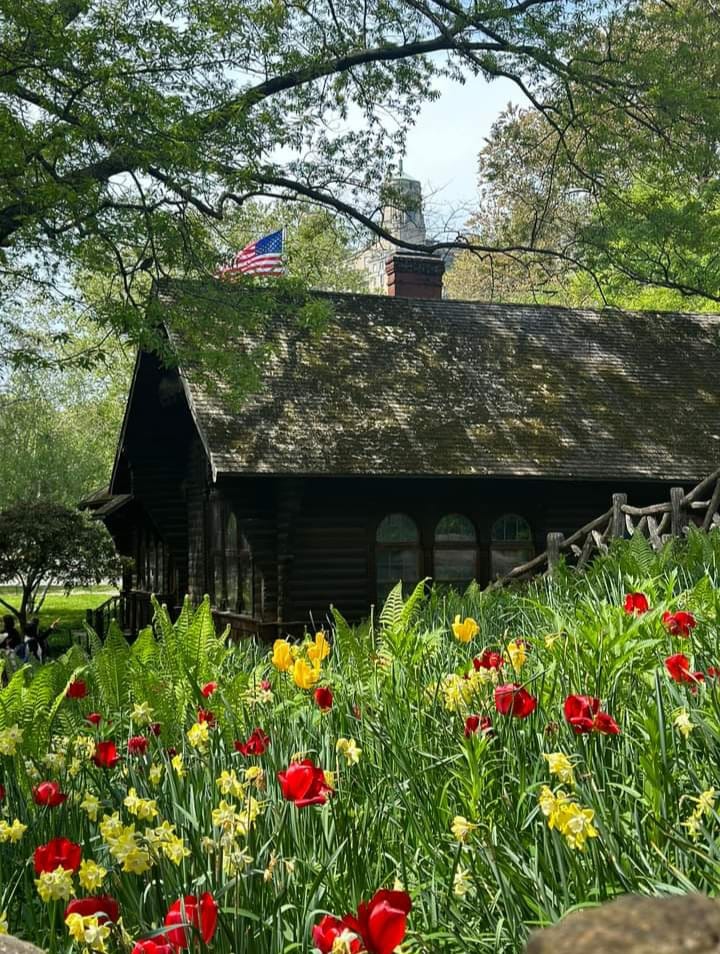 The Most Beautiful Little Cottage in The Middle of the City.

New York, United States of America 📷

#centralparknyc #unitedstatesofamerica #usa #NY #america #newyork #newyorkcity #nyclife #UnitedStates #USAToday #AmericanDream