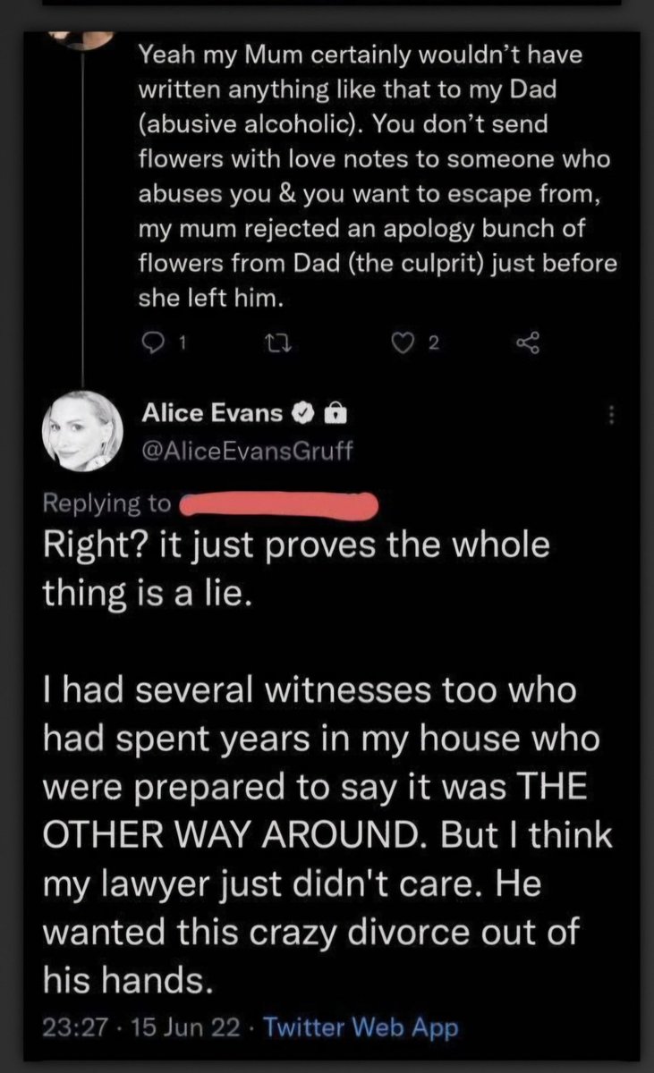 You can only prove abuse happened, not that it didn't. Abusers rarely ever abuse their victims in front of witnesses. Alice publicly abused Ioan and Bianca.