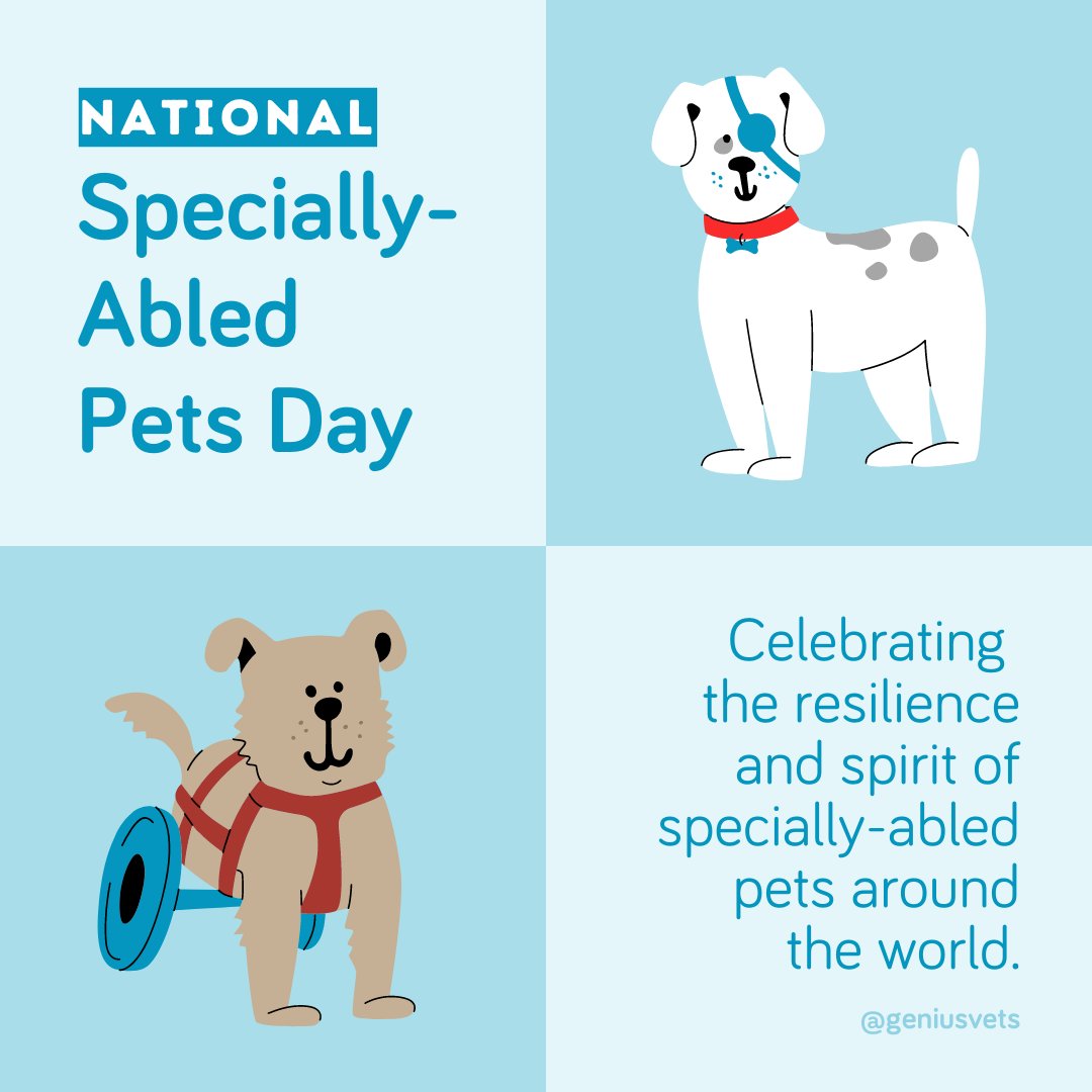 On National Specially-Abled Pets Day, we celebrate the amazing abilities of pets who inspire us every day with their courage and determination! 🐾❤️ #nationalspeciallyabledpetsday #speciallyabledpets #tripodpet #pawsitivelydifferent