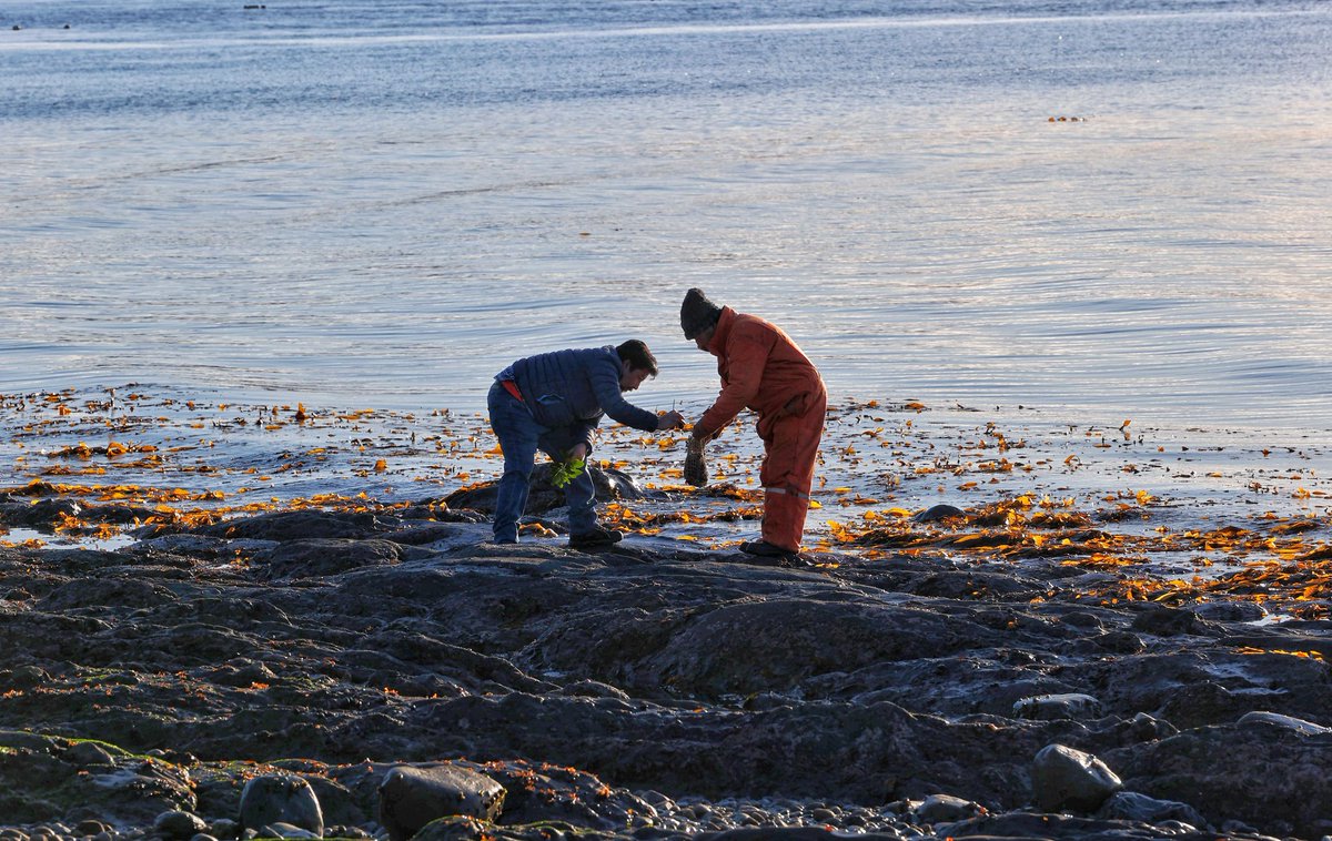 En San Juan también realizamos una transferencia de terreno fiscal a la comunidad Kawésqar Ancón Sin Salida, quienes continuarán con actividades en pro de su artesanía y cultura ancestral. ⬇️