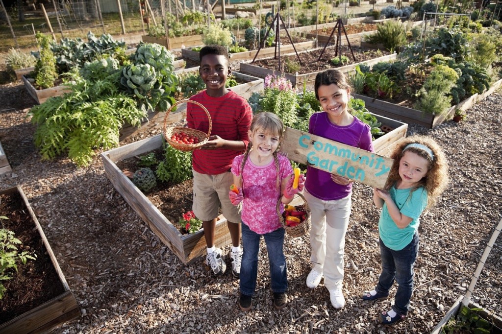 Join the movement towards food security and community empowerment! 🌱
Learn how community gardens are cultivating change and fostering resilience in neighborhoods across America. 🌻🥬
Explore their transformative impact in our latest blog post. 📝

#CommunityGardens #FoodSecurity…