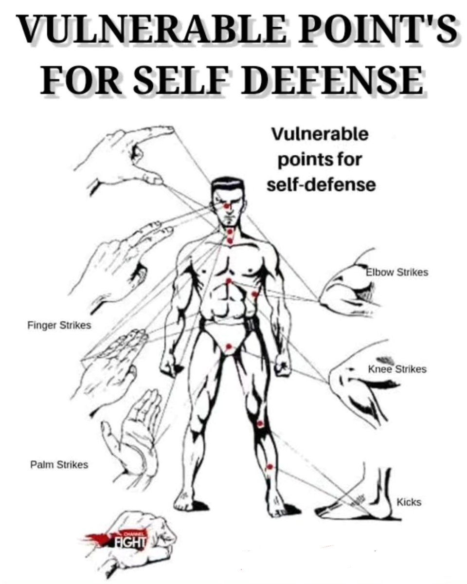 Learn Self Defense (@LearnSeIfDefens) on Twitter photo 2024-05-03 16:57:53