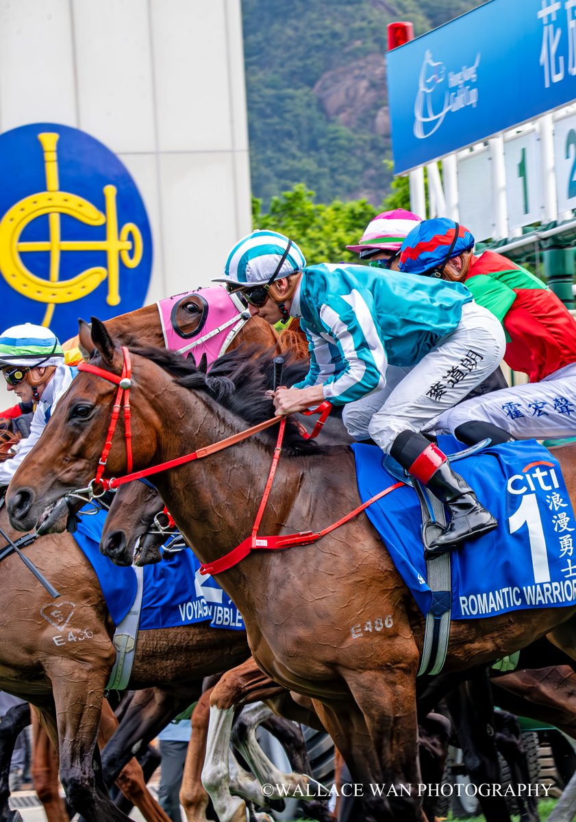 Romantic Warrior
#superjockey #Horse #hkracing #hkphotographer #art #horsephoto #調教師 #horseracing #jockeys #騎手 #競馬場 #shatinracecourse #HorseRacing