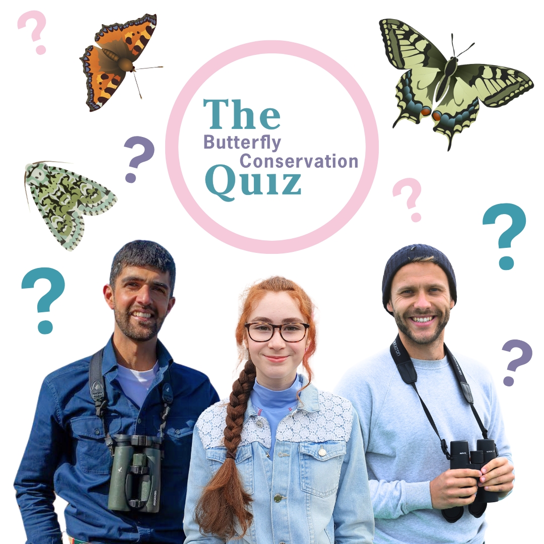 Launching today, the Butterfly Conservation Quiz is the perfect activity to keep you busy this #BankHoliday weekend! 🌟 Join our wildlife-loving hosts @BillyHeaney, @BeccasButterfli and @AjayTegala and put your butterfly and moth knowledge to the test 👇 shop.butterfly-conservation.org/products/the-b…