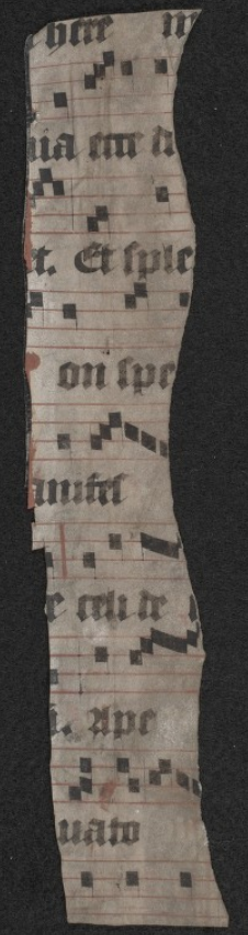#chant for the fourth week of advent (end of matins, lauds is on the back) on this little strip of antiphonal #fragmentfriday fragmentarium.ms/view/page/F-t6…