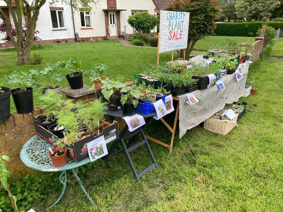 I’m putting on a charity plant 🪴 sale this weekend in aid of the fabulous @StBarnabasLinc 
We’ve got all sorts from tomatoes, runner beans and chillies to asters, sweetpeas and sunflowers….and lots more!

Corner of Scothern Road and Deepdale Lane in Nettleham.