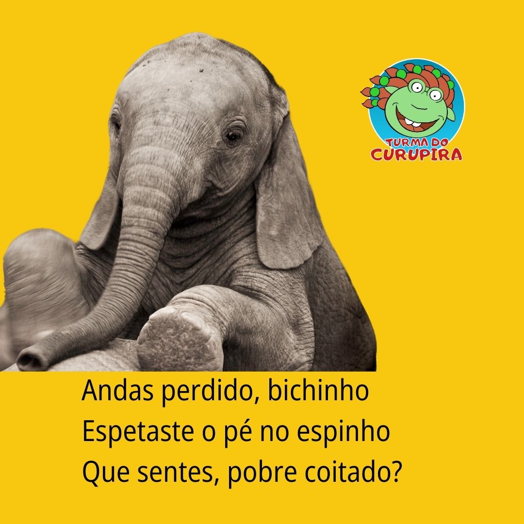 Queridos amigos, queremos desafiar vocês a usar a imaginação e descobrir que se passou com o nosso Elefantinho! 🐘✨

 #DesafioDaImaginação #OndeEstáOElefantinho #ViníciusDeMoraes #PoemaInfantil