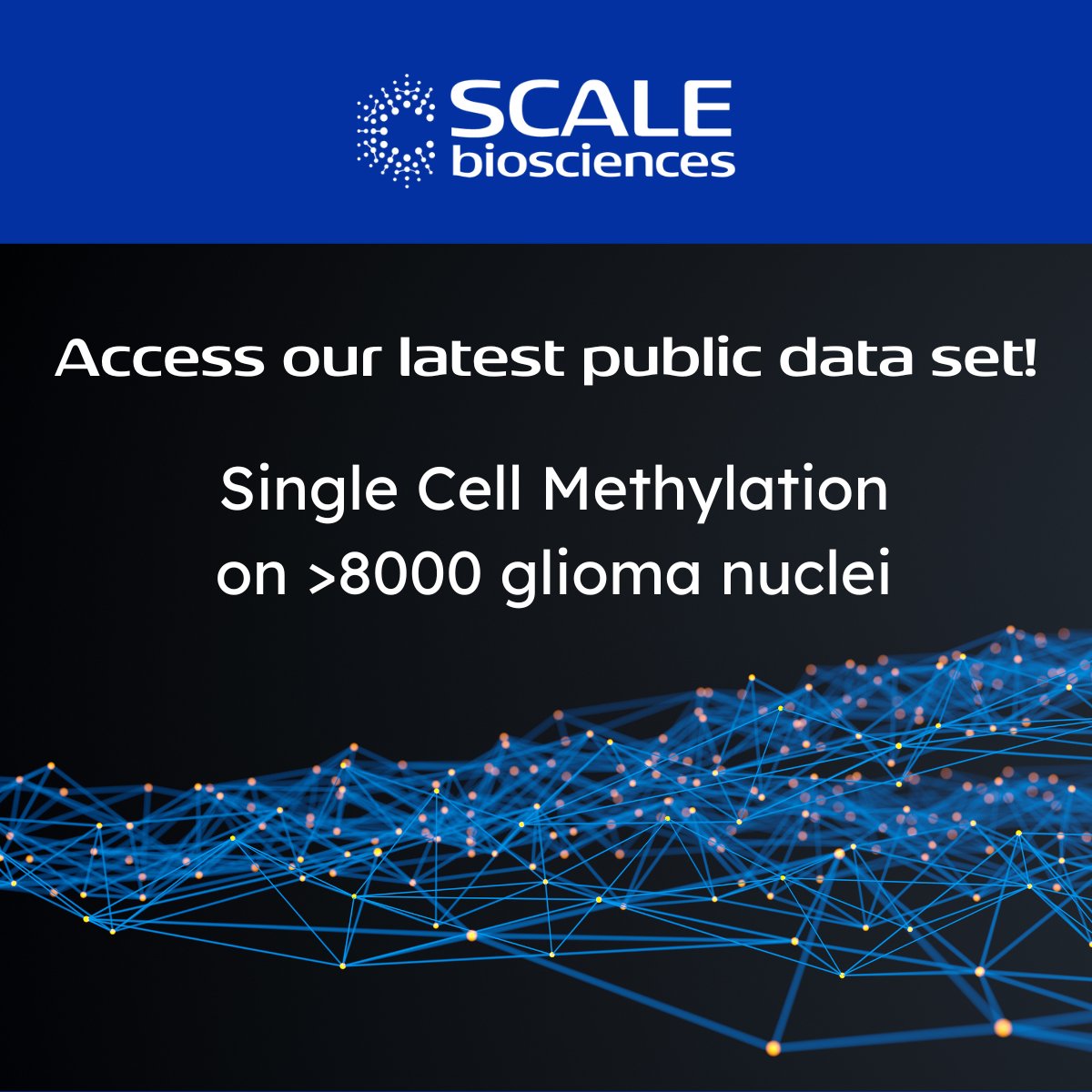 Access our latest publicly available data set! This single cell DNA methylation data set containing more than 8,000 single glioma nuclei resolves cell types and methylation signatures. Get Access: zurl.co/agFJ