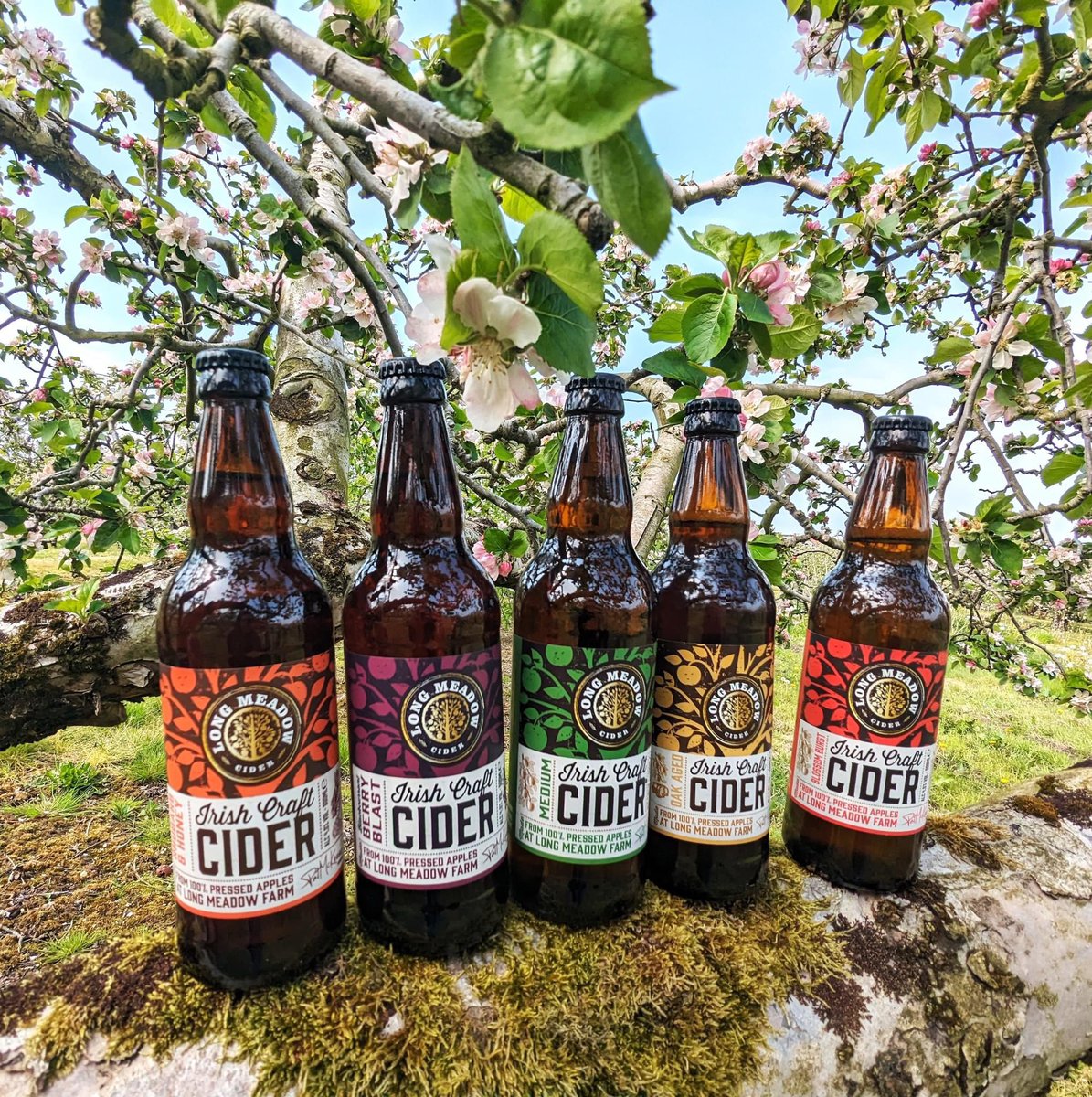 Cheers to sunshine and cider! 🌞🍻 What's your go-to flavour for those sunny days? longmeadowcider.com/products/ 🍎