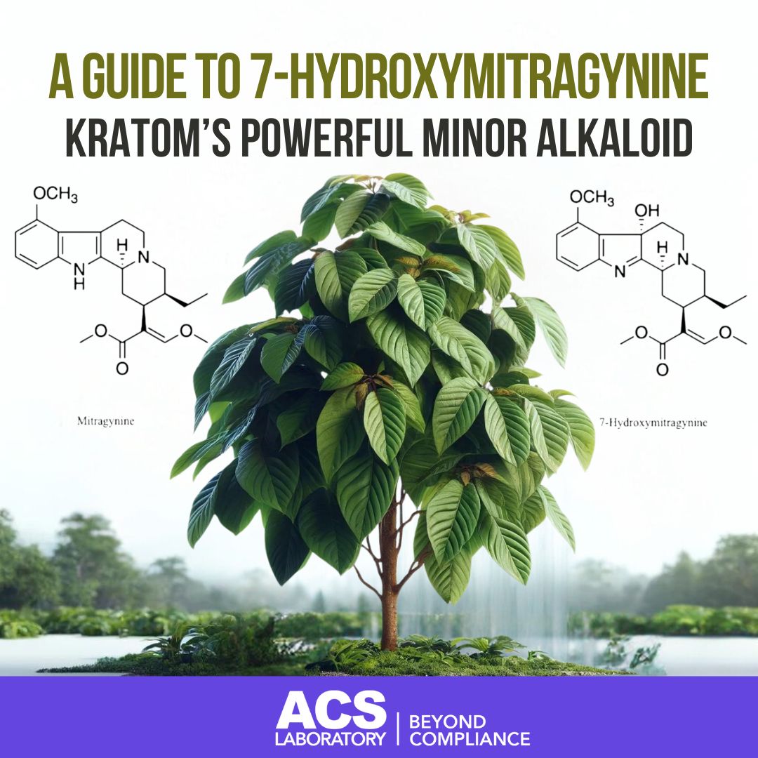 Beyond kratom’s primary alkaloid mitragynine lies 7-hydroxymitragynine its powerful counterpart that challenges even morphine's potency. 

Dive into our blog to explore its fascinating impact. l8r.it/Lukg

 #7hydroxymitragynine #7OH #ThirdPartyLab #ACS #ACSLaboratory