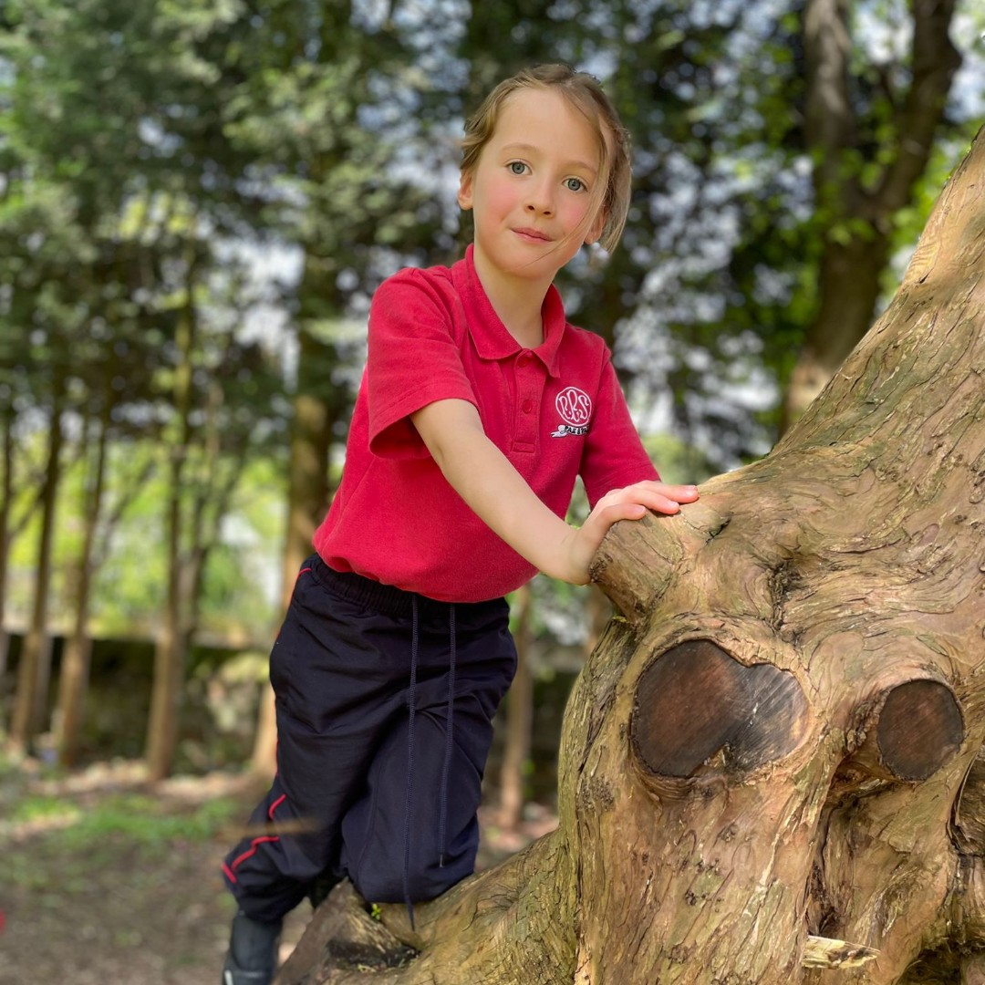 Prenton Prep School tweet media