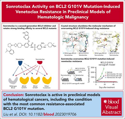 Sonrotoclax is a potent and selective BCL2 inhibitor that is also effective in venetoclax-resistant BCL2 mutants both in vitro and in vivo. ow.ly/gNeo50RvWeb #lymphoidneplasia