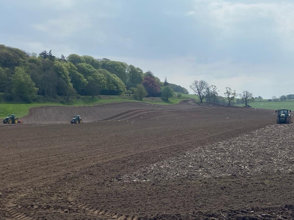 Preparing the ground for Maize in Dumfries & Galloway 💛 Grower has selected #Gema for its earliness in maturity and consistent performance. 🌽 📷 Greig Baird Find the right variety for your system at: loom.ly/1Xg5dgQ #mazieforforage #cropwalking #agronomy