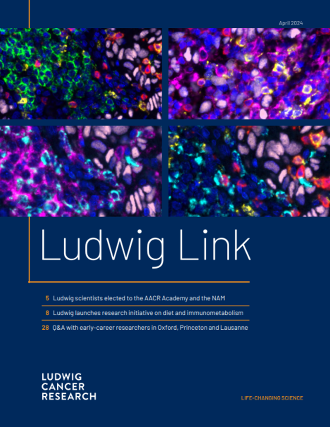 The Spring 2024 edition of the Ludwig Link is live! Check it out for a deep dive into a 3-year initiative focused on immunometabolism, a Q&A with three early-career scientists, and our usual round up of science, awards and news from Ludwig researchers. bit.ly/ll24s