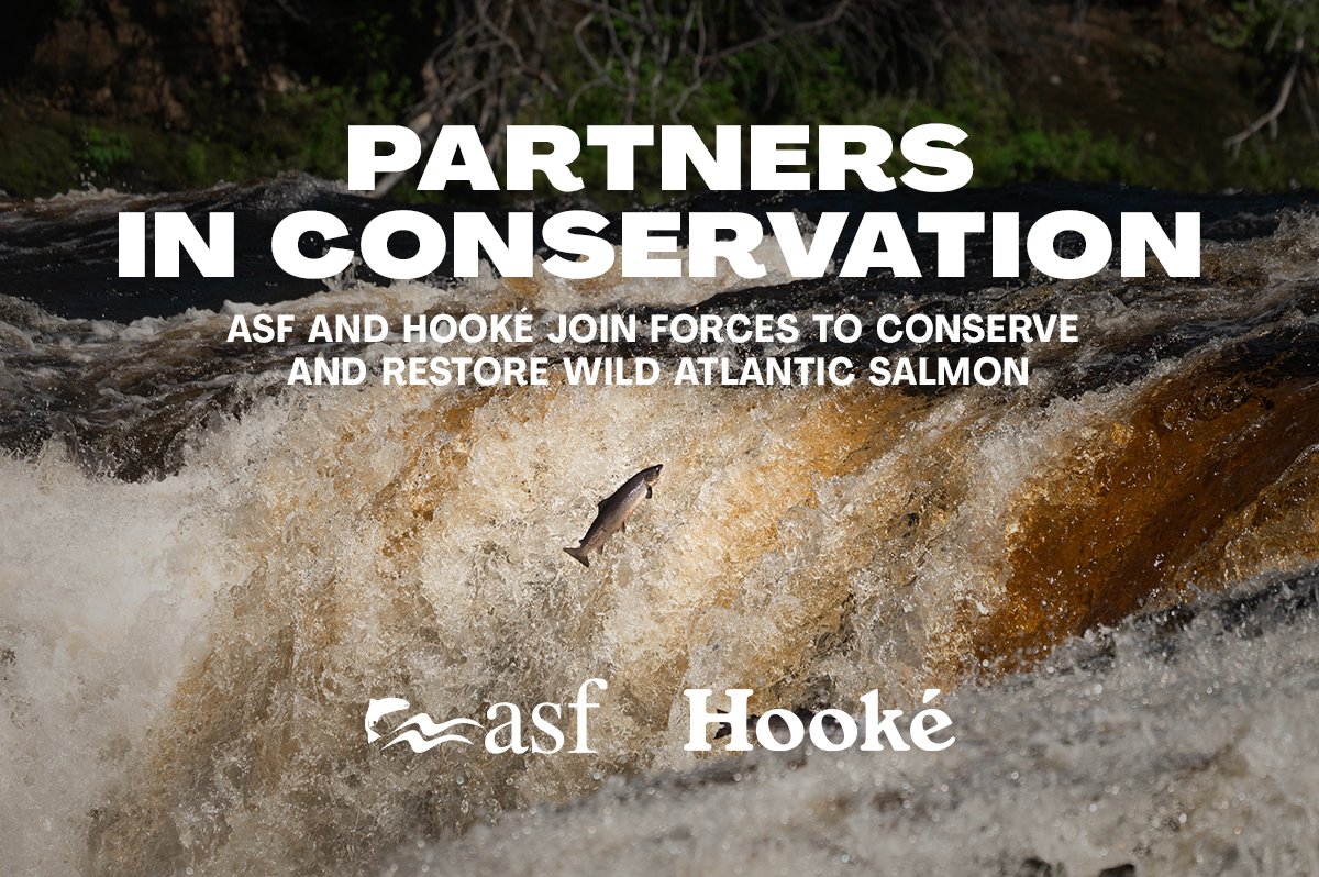 ASF is proud to announce our partnership with Hooké, a Canadian fly-fishing and outdoor apparel company. Stay on the lookout for a special clothing line, co-produced content, and lots more!