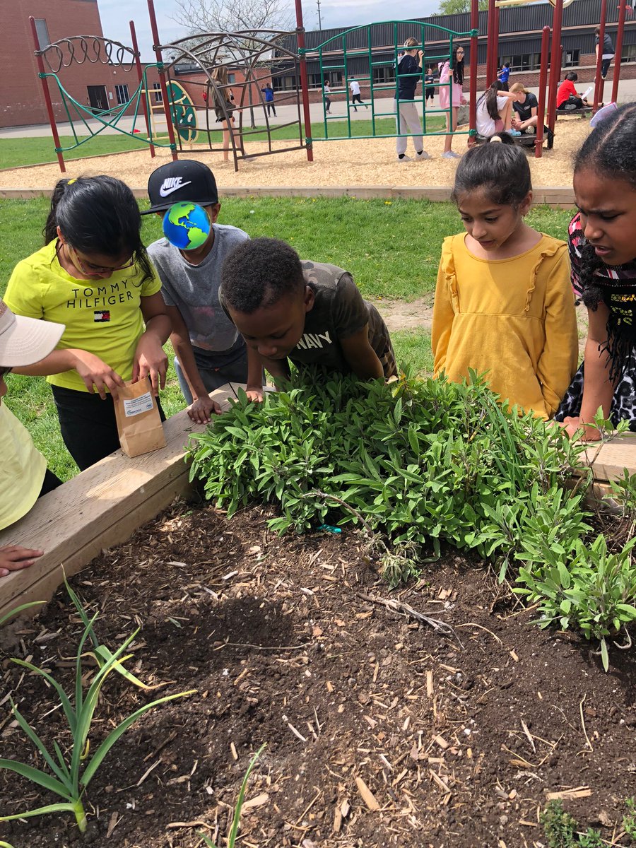 Thanks! @DSBNOutdoorED for the Compost fertilizer! We’ve added it to our JAM FAM roots garden! 🪴 What great consolidation from our learning and playing yesterday on our field trip! @JamesMordenDSBN @rochellesroots