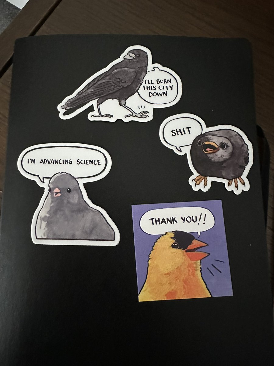 Thank you @FalseKnees, they’re just perfect