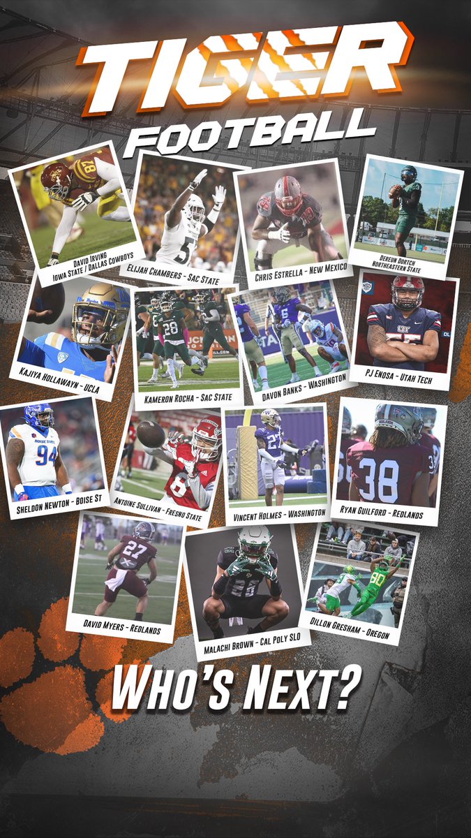 Who will be the next one!#fearthepaw