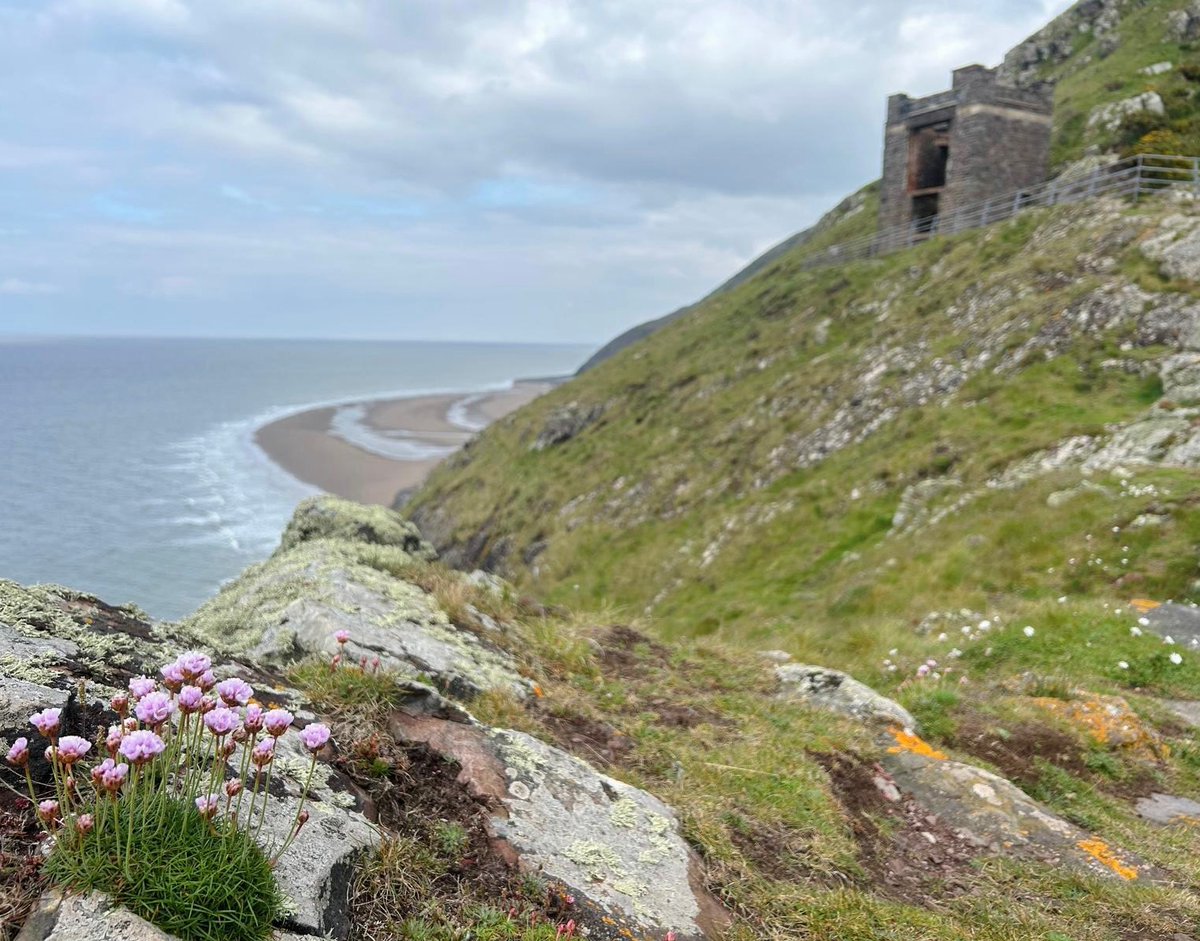 Have you walked to the old coastguard station at Hurlstone Point? A perfect wander for the Bank Holiday weekend, start at the National Trust car park in Bossington village and follow the waymarked route. You’ll be rewarded with beautiful coastal views along the way 🌊