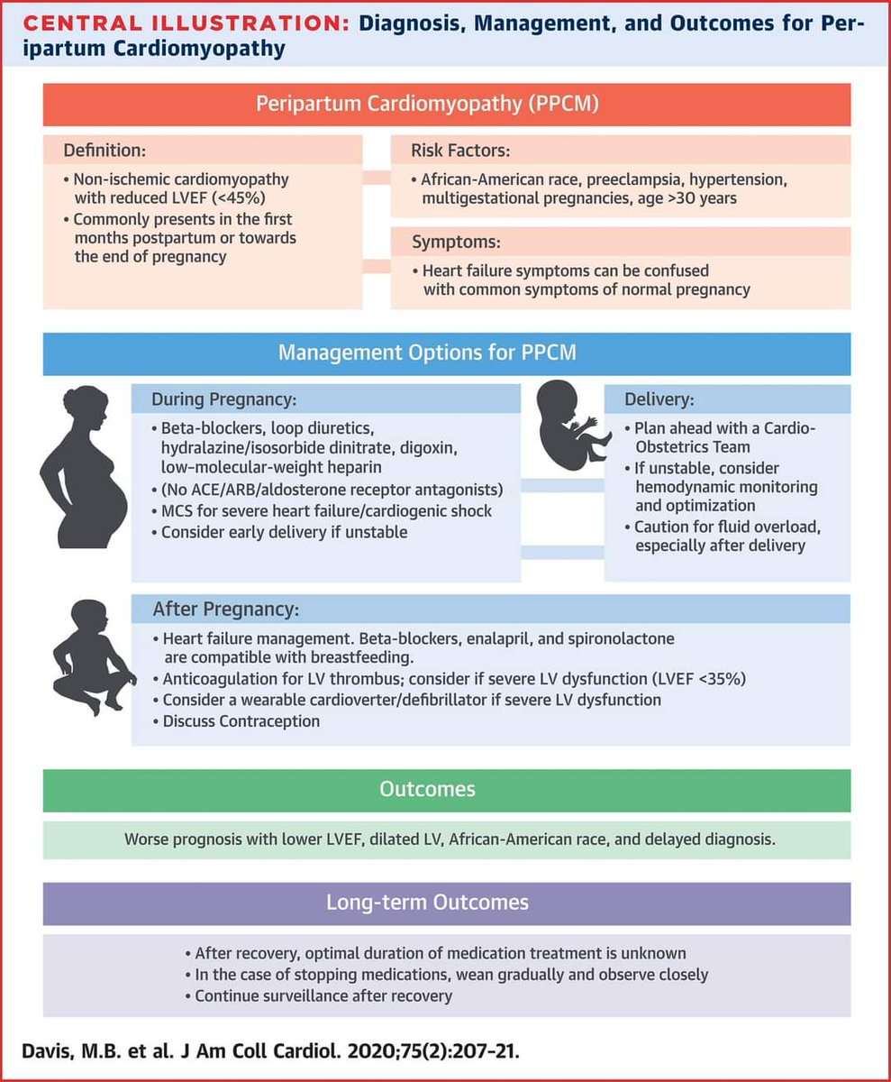 🔴Peripartum Cardiomyopathy: JACC State-of-the-Art Review |#OpenAccess

jacc.org/doi/10.1016/j.…
 #MustRead #Cardiotwitter #cardiotwiteros #CardioEd #meded #medtwitter   #medtwitterwhat #CardioTwitter #cardiology