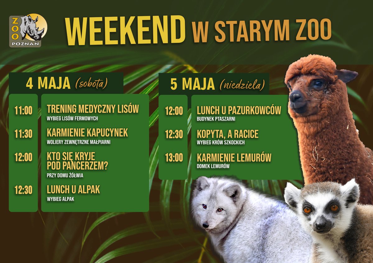 W Starym Zoo w Poznaniu najbliższy weekend także spotkania z rezydentami. Przypominamy, że wstęp jest bezpłatny (płatne wejście do Pawilonu Zmiennocieplnych). #Poznan #StareZoo #zwierzęta