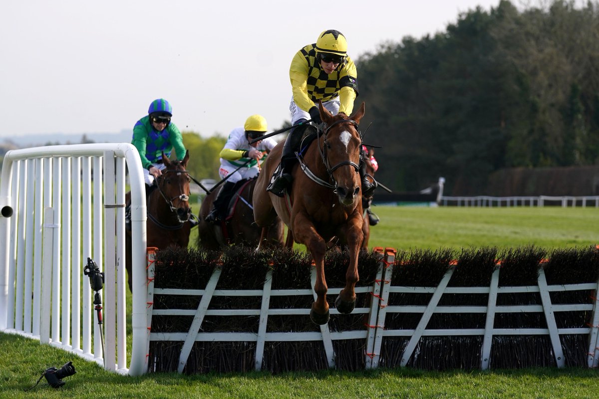 🙌 TEN Grade Ones and counting for State Man! 🏆 He wins the Champion Hurdle for Willie Mullins at Punchestown. #PunchestownFestival