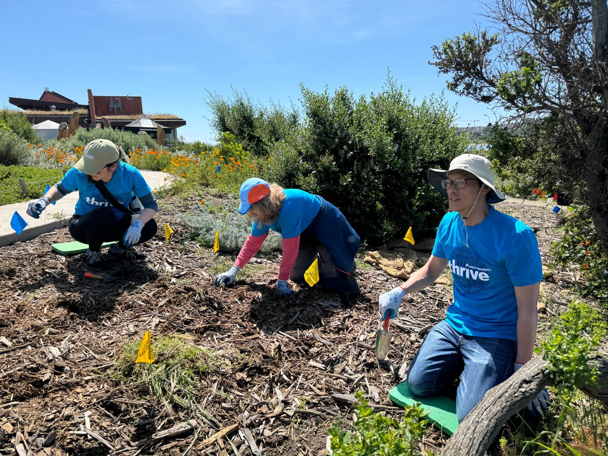 Thank you to our staff and their family members who volunteered with @SFParksAlliance to clean up Cargo Way in San Francisco. They weeded, planted, and helped beautify the area.