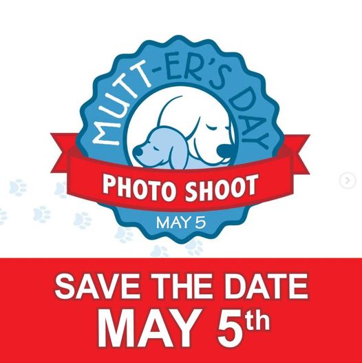 Hey #Chicago! .@SecondCityK9 Mutt-er's Day #PHOTOS #fundraiser 

#host .@PollyannaBrewCo 

Sun 5/05, Noon - 4 PM

#AdoptDontShop #AdoptAShelterPet #AdoptAShelterDog #DrinkForGood 

sccrescue.org/event/mutt-ers…

facebook.com/events/7511339…

facebook.com/events/7888688…

facebook.com/SecondCityCani…