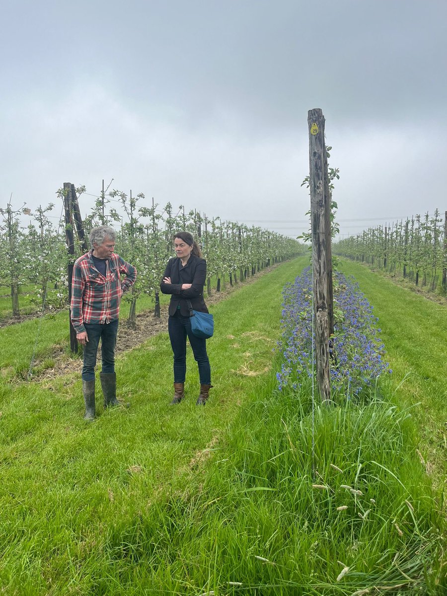 Agro-ecologie als oplossing voor uitputting door industriële landbouw! Piet en Angela vertelden @fennaf en @MetAgnesBakker hoe creativiteit, ondernemerschap en samenwerking zorgen voor werkgeluk en biodiversiteit. 🐓🍏 #CaringFarmers