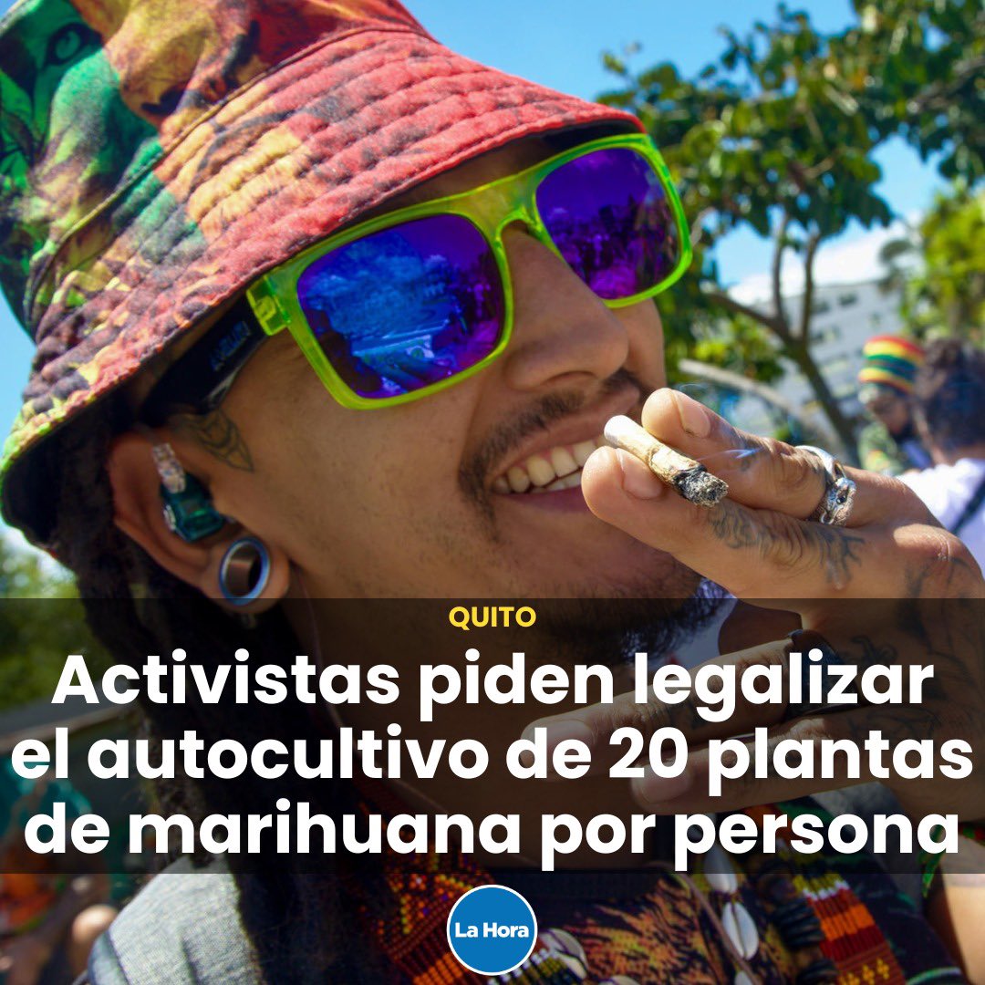 En la Marcha Mundial de la Marihuana en #Quito 🪧, los asistentes reclamaron la legalización del cultivo propio del cannabis con fines medicinales y recreativos. Consideran que legalizarla ayudaría a contrarrestar el narcotráfico. 🤔 ¿Qué opinas? 👉🏻 bit.ly/3WnkiXZ