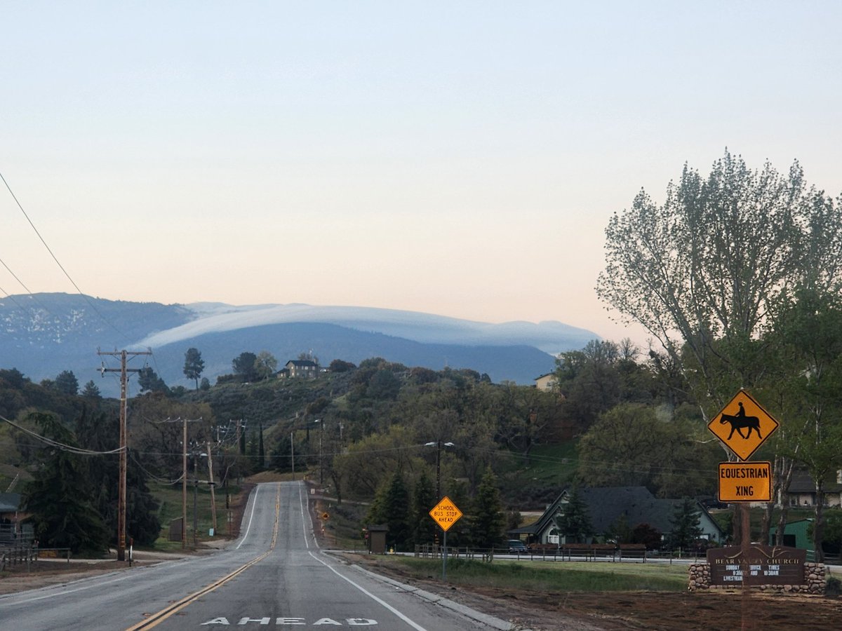 Tracy Scott Kelly tweet media