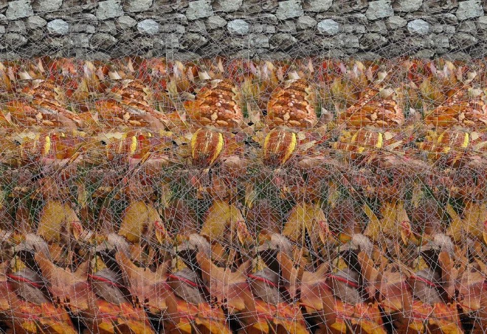 How to view stereogram method 1. Start by holding the stereogram close to your face, about 3-5 inches away. 2. Focus your eyes on the pattern or texture of the stereogram. 3. Slowly pull the image away from your face while maintaining focus on the pattern. 4. As you continue
