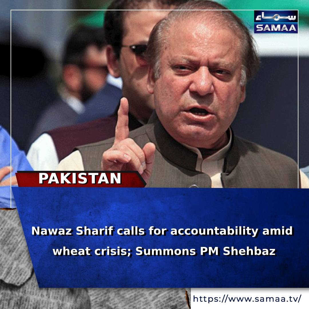 Read more: samaa.tv/2087314099-

#nawazsharif #wheatcrisis #shehbazshehbaz #PunjabFarmers