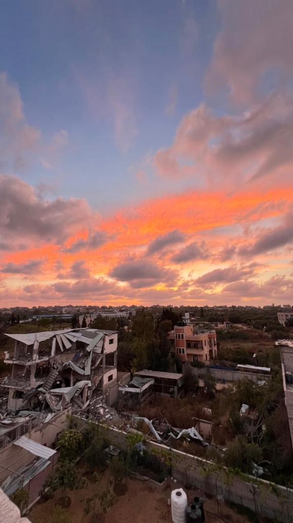 Despite the extensive destruction caused by the Zionist occupation in my town of Beit Hanoun, its beauty always prevails. Its trees insist on standing tall to bestow all this beauty with the enchanting colors of the sky. -210 Days of Genocide.