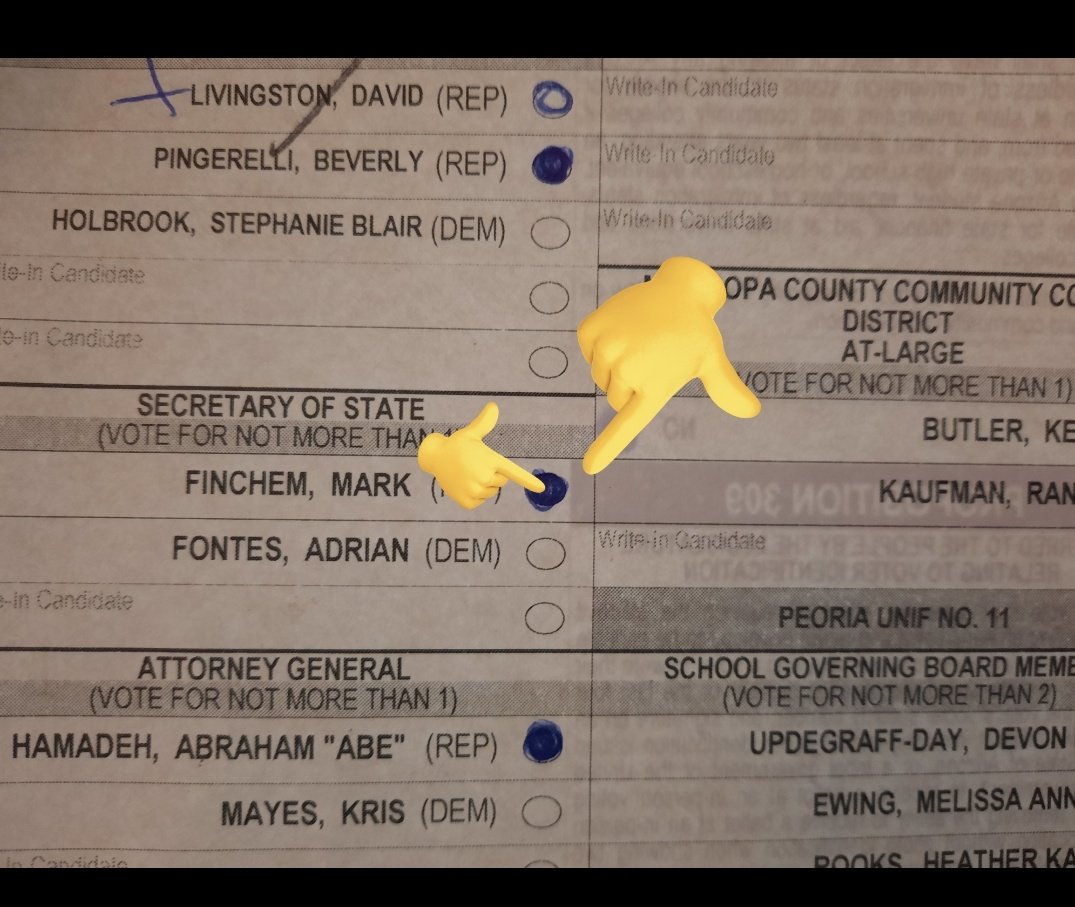 @Real_RobN What if instead of them being extra physical pieces of paper, they are simply 2 votes on one ballot, or multiple votes on one ballot, like my Maricopa 2022 seems to be?