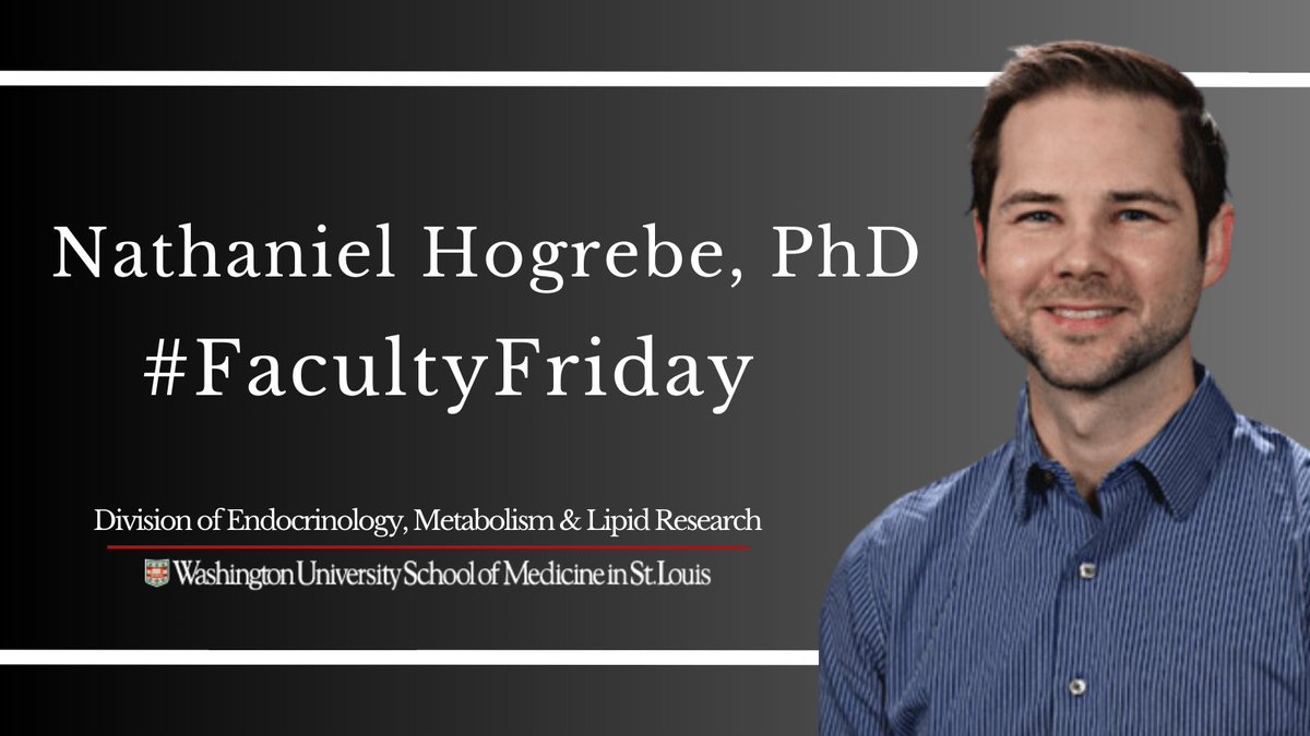 #FacultyFriday: Dr. Hogrebe's research is focused on how type 1 diabetes results from a loss of insulin-producing β-cells within the pancreas, and is aimed at improving the maturation and function of those cells through tissue engineering. Learn more: bit.ly/3w9IkLH.