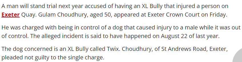 Man to stand trial over having an XL Bully which injured someone in Exeter.