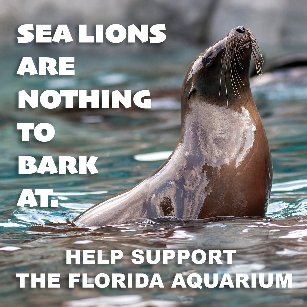 Share your love for The Florida Aquarium with the Tampa CRA! Their $15 million investment will help pave the way for exciting new species, enhancing our conservation impact, and broadening educational and research horizons. Voice your support: bit.ly/Support-The-Fl…