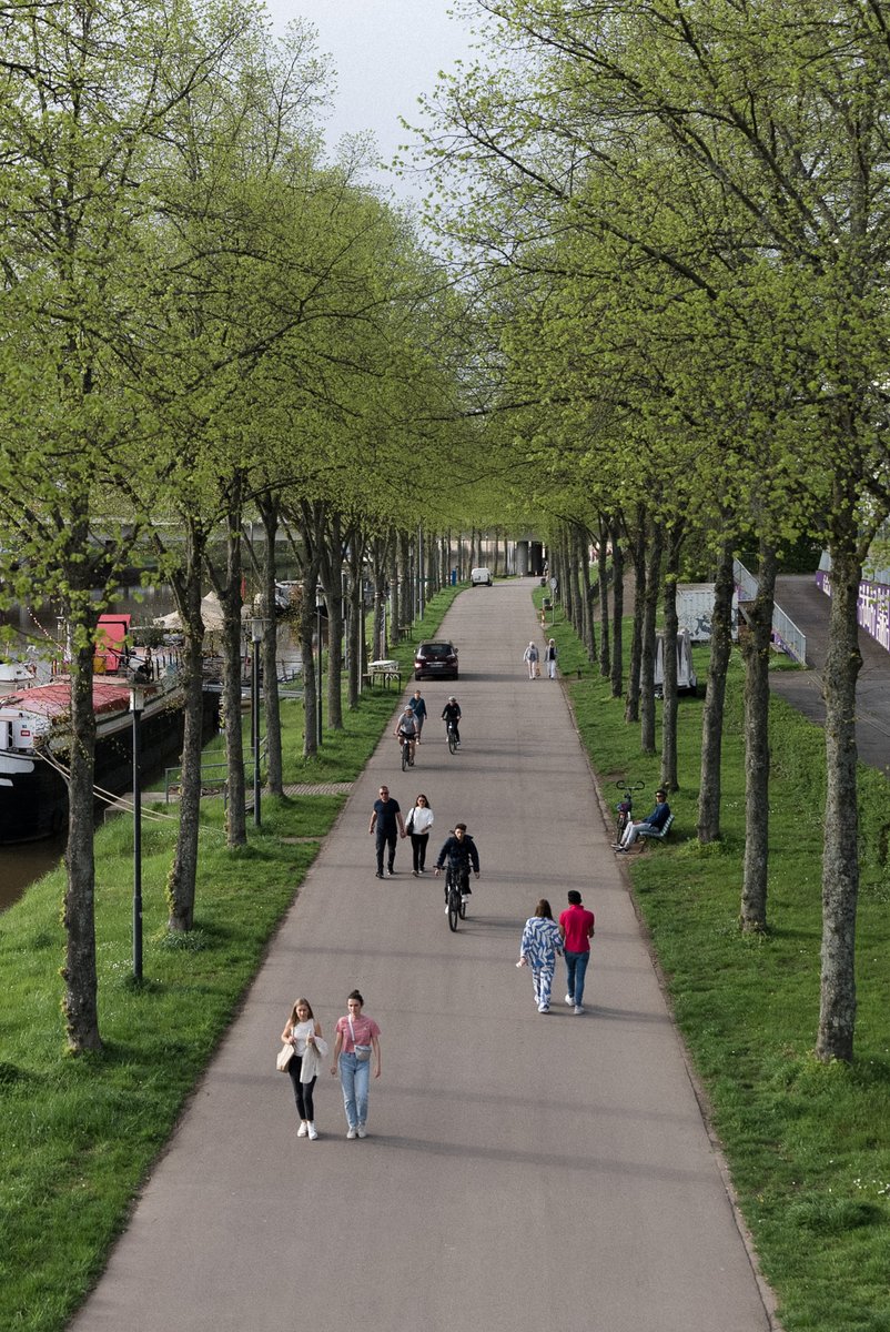 Riverside promenade along the Saar || Uferpromenade an der Saar #saarbrücken #naturephotography #urban #travelphotography #photography